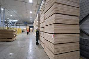 Warehousing and accounting of plywood on an industrial scale