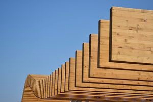 rows of southern yellow pine plywood