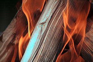 a close up view of a combustible type of wood that is not fire retardant