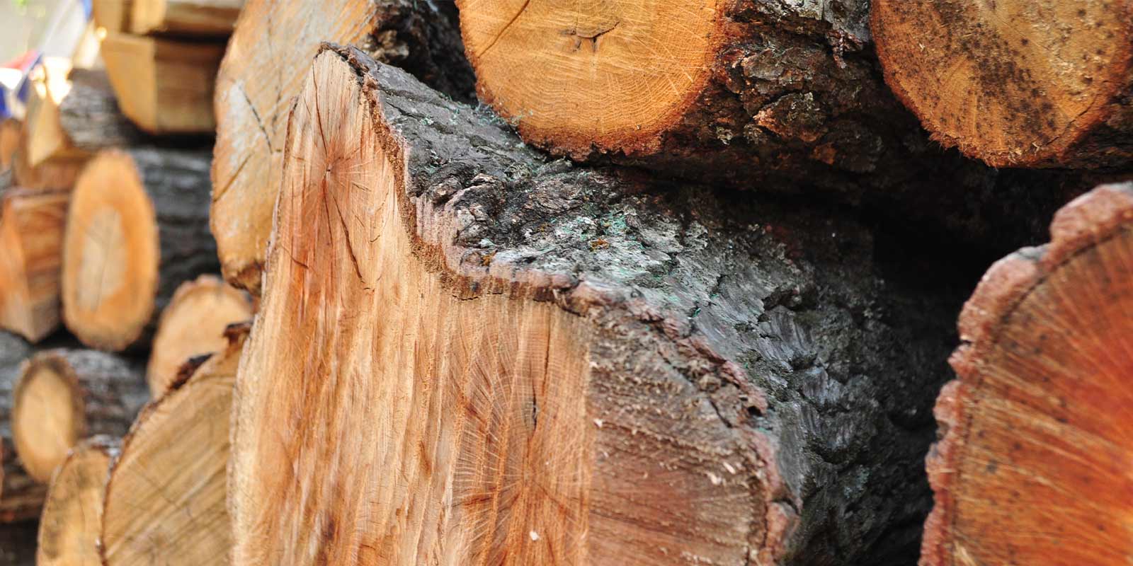 Can You Make Wood Fireproof? Curtis Lumber & Plywood