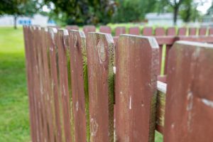 Copper azole treated wooden fence