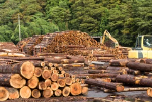 stacked lumber at a wholesale lumber yard