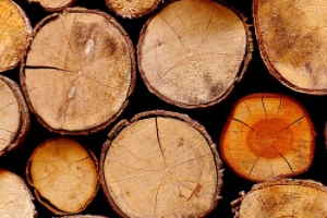 lumber stored in lumber yard with a wholesale lumber supplier