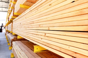 high valued wood at a local lumber yard