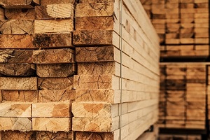 best quality lumber logs
