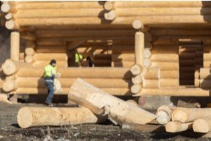 Wholesale lumber suppliers assessing timber quality