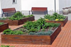 Raised garden beds made from copper azole wood