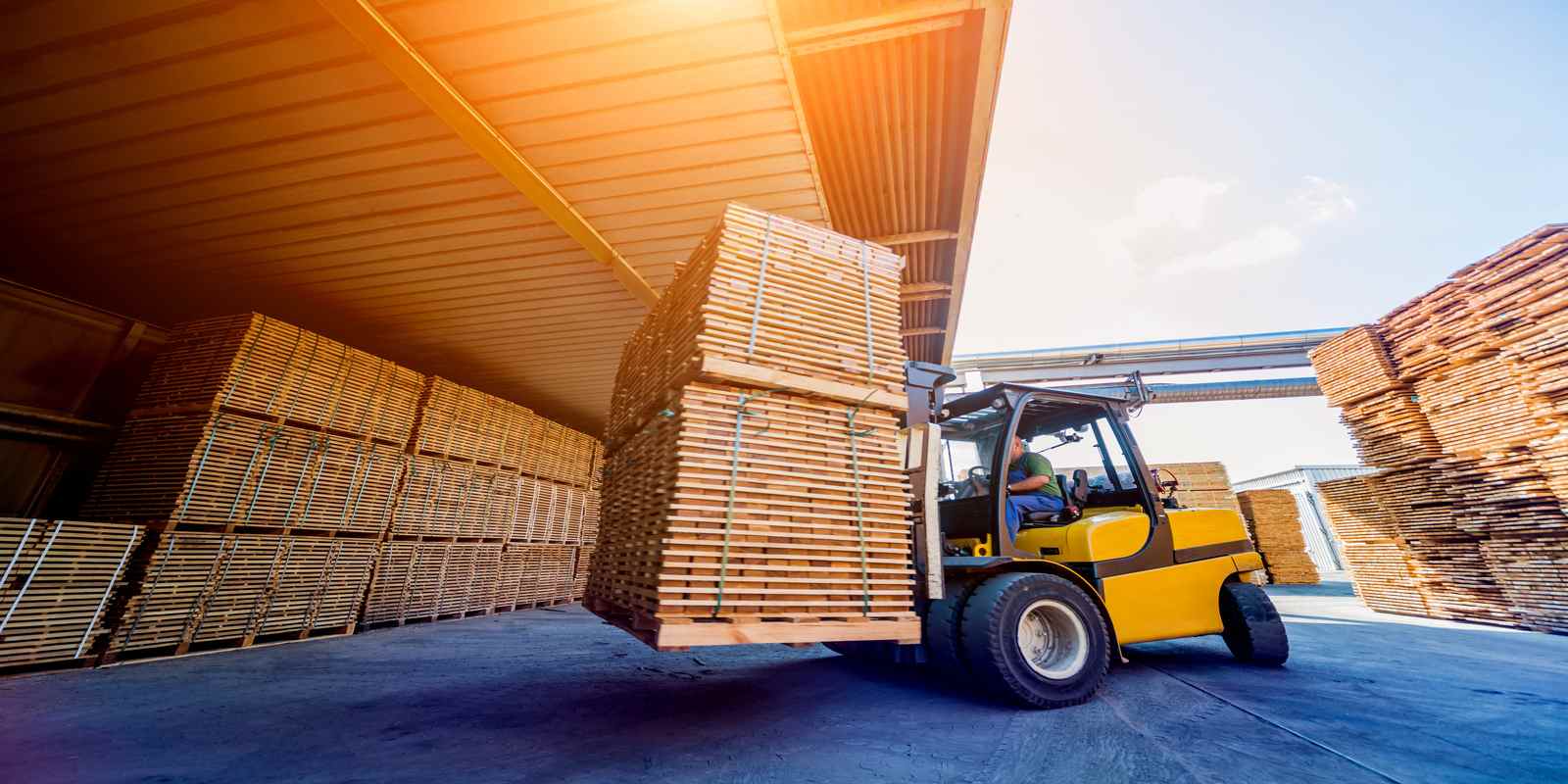 Understanding Wholesale Lumber Terminology