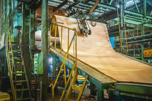 Production of plywood in a factory